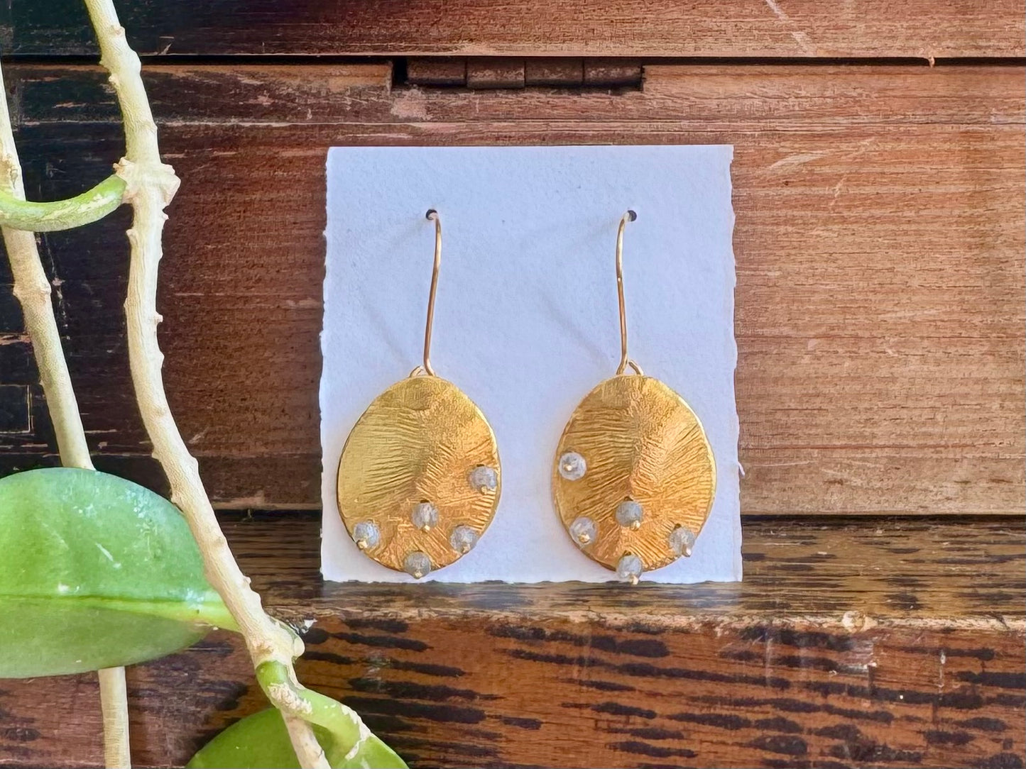 Gold Disc Tiny Stones Earrings