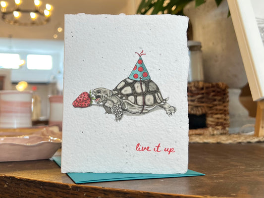 Plantable Tortoise and Strawberry Card