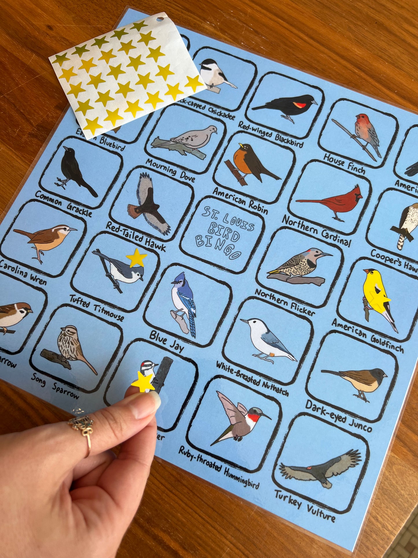 Bird Bingo