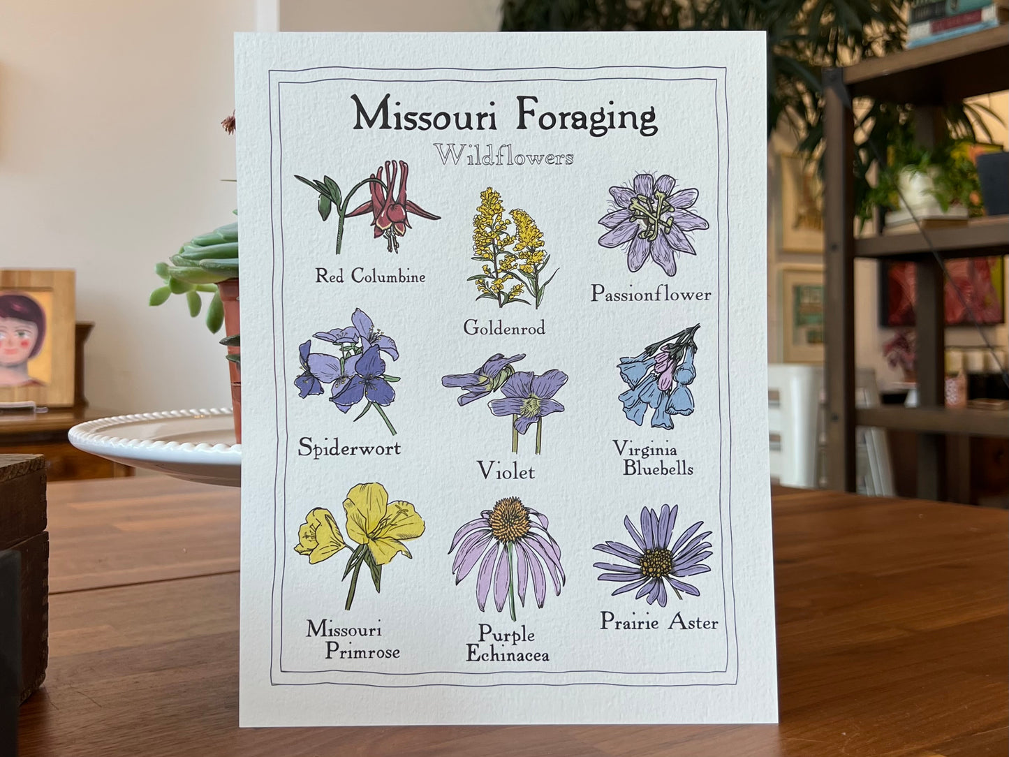 "Missouri Foraging: Wildflowers" - Print