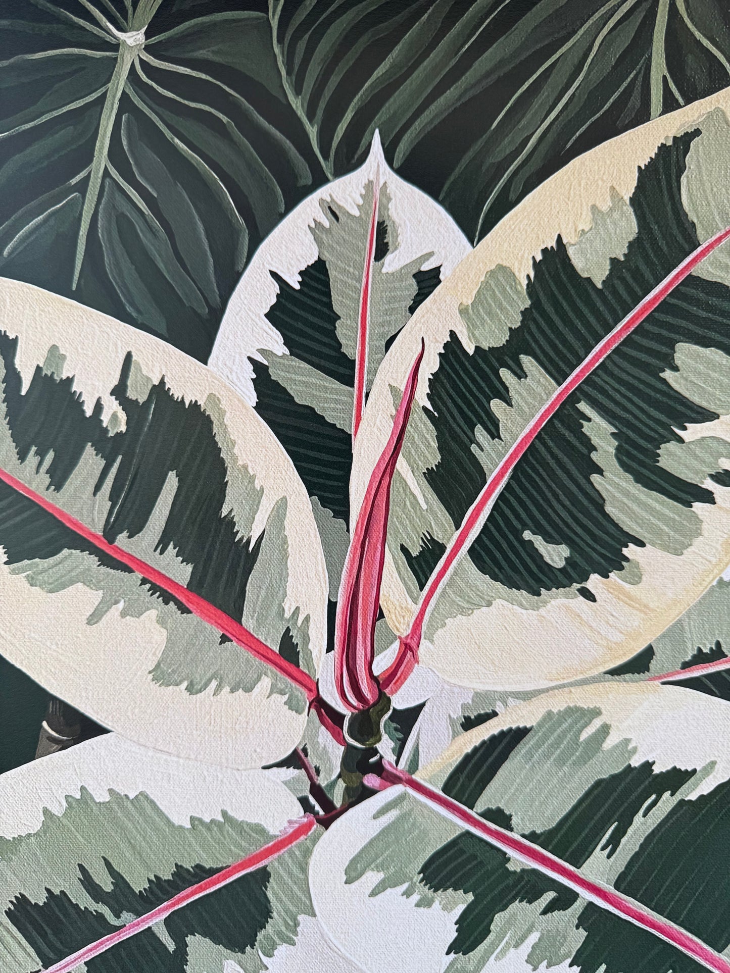 "Rubber Plant" - Print