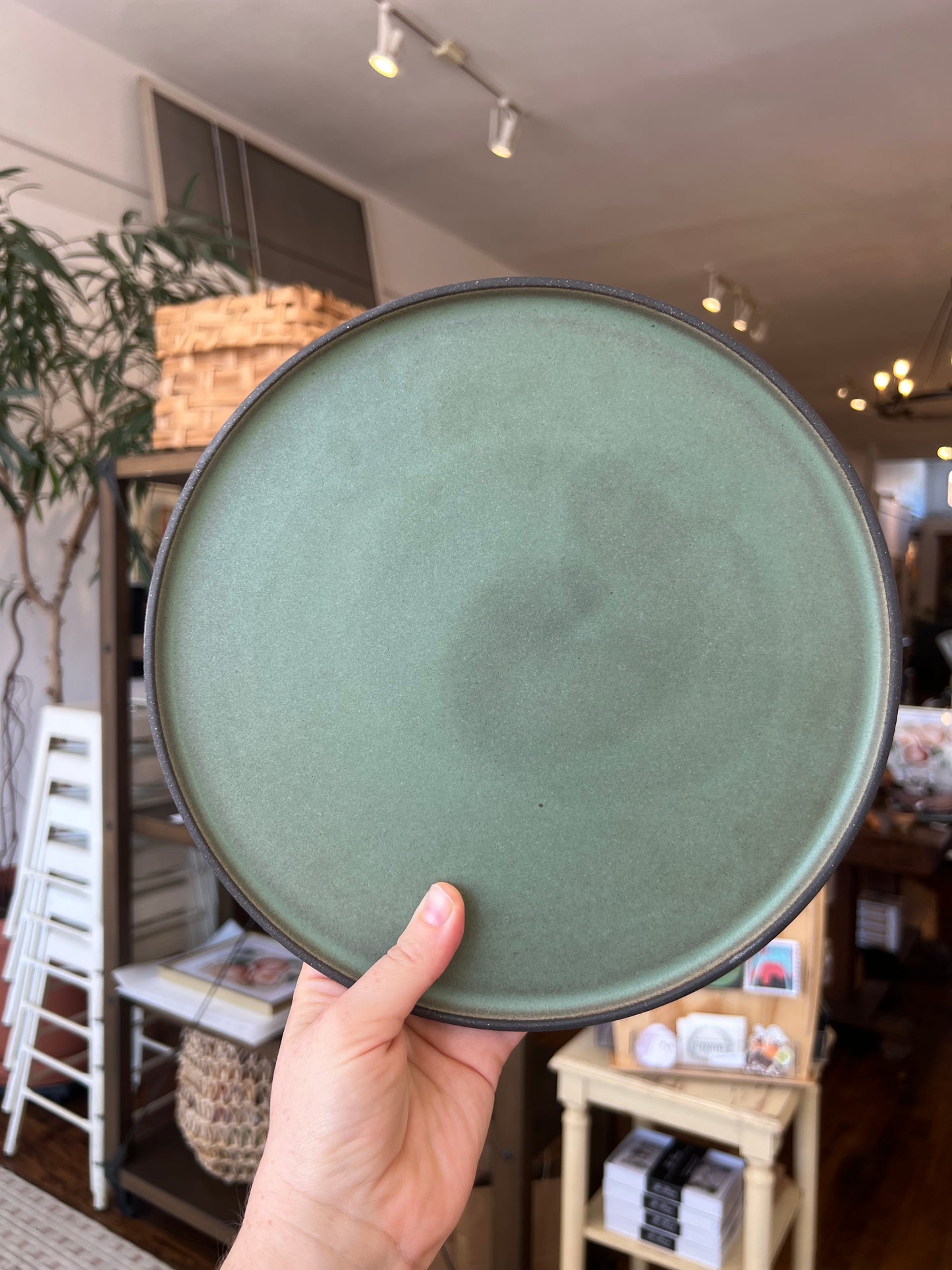 Dinner Plate - Sage