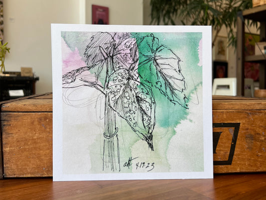 "Einstein's Begonia" - Print