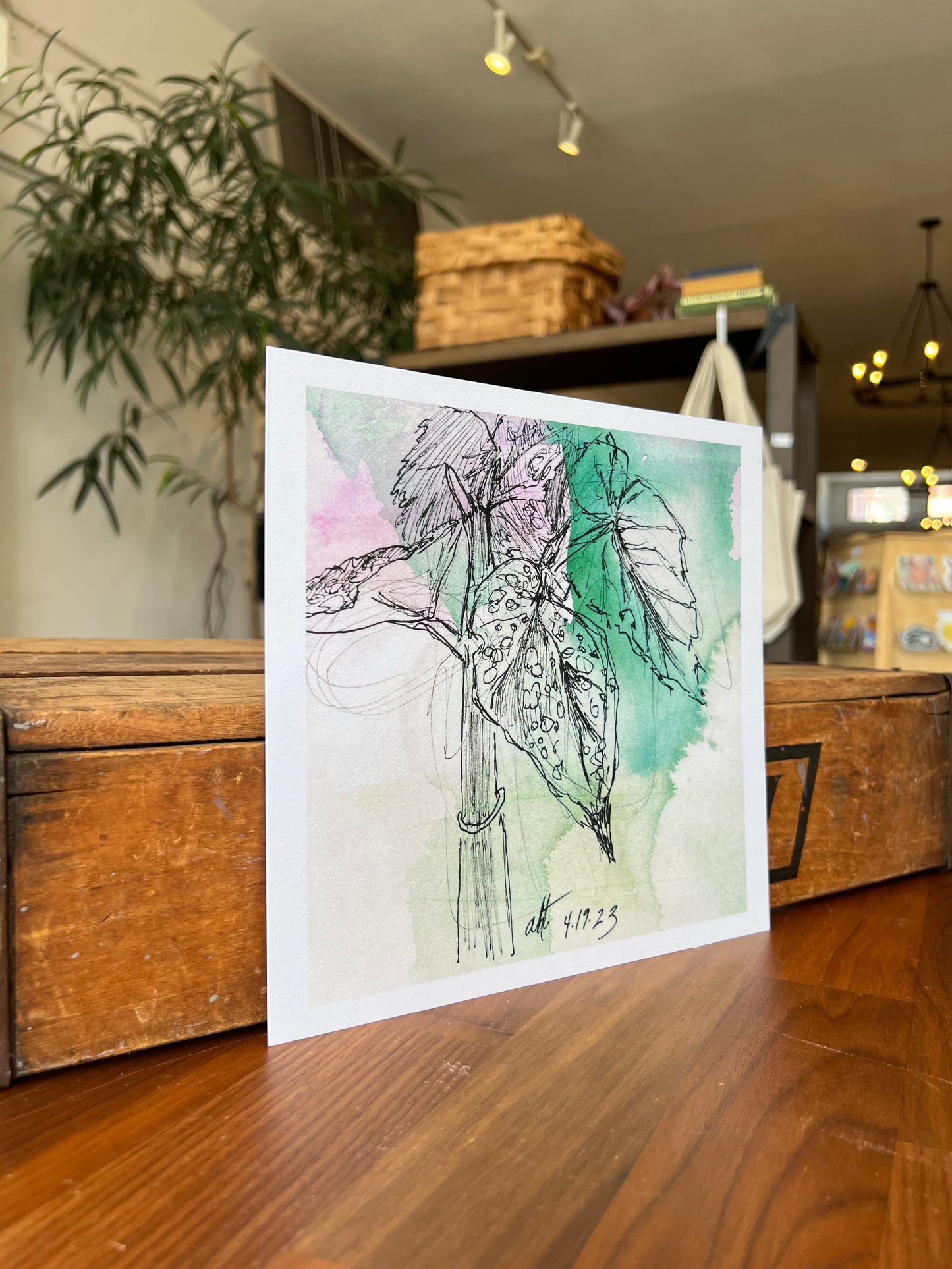 "Einstein's Begonia" - Print