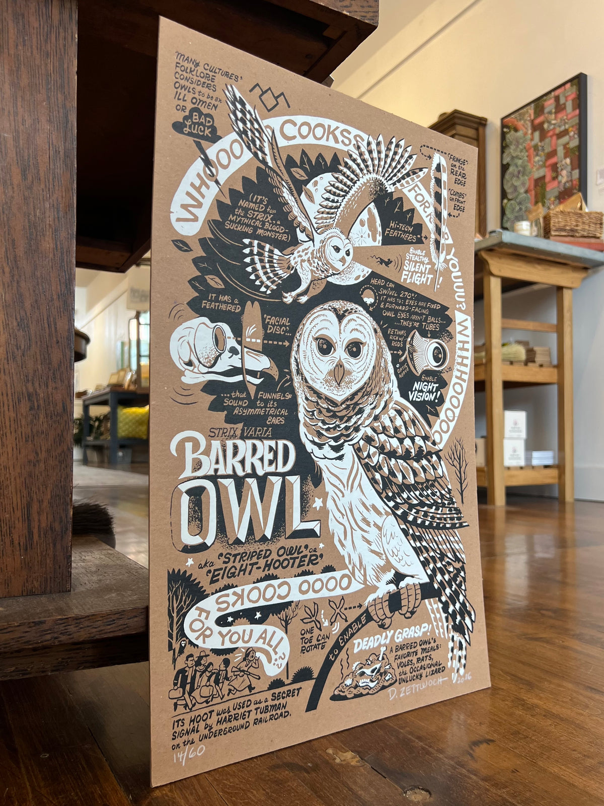 Barred Owl Poster