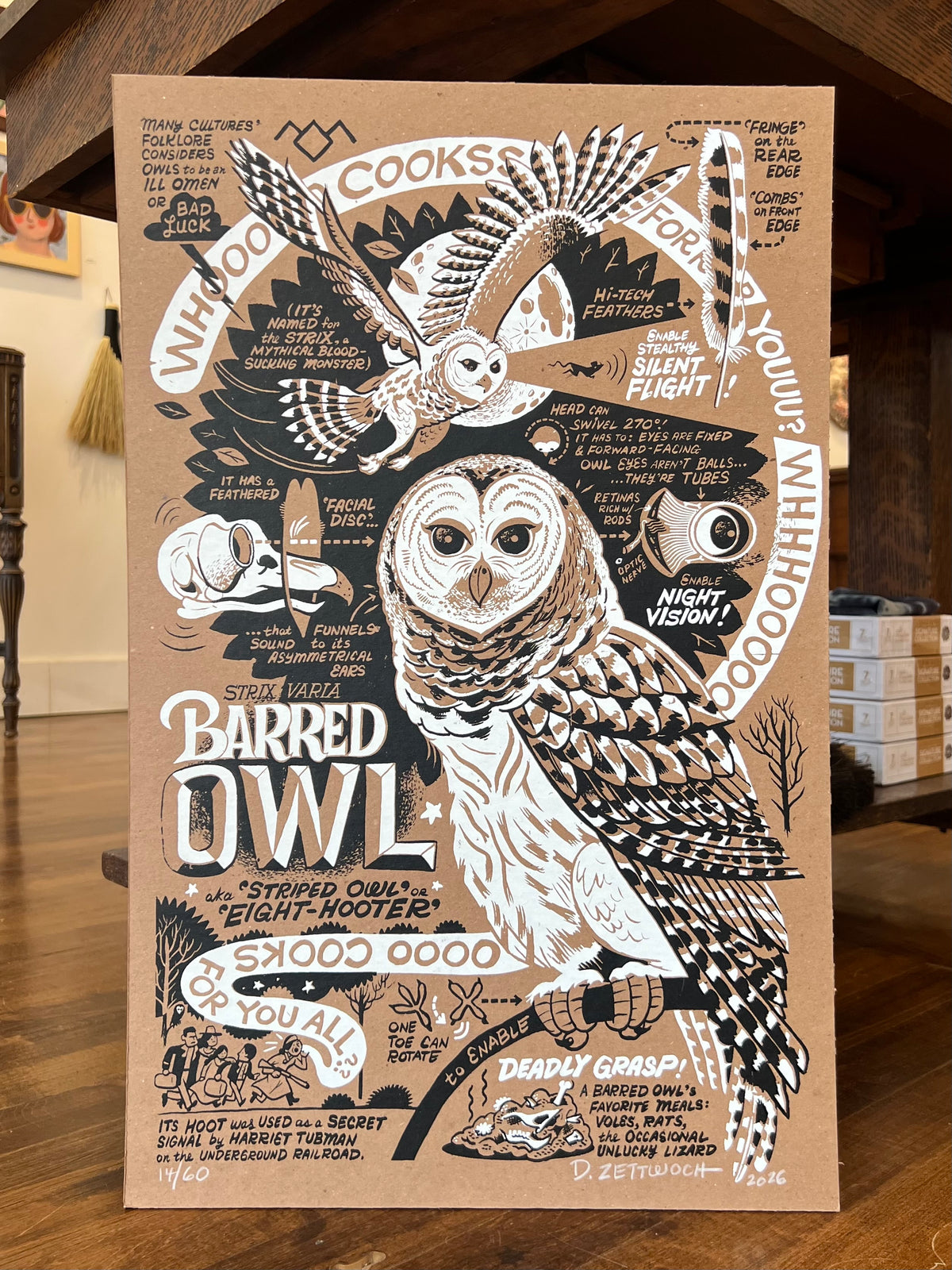 Barred Owl Poster