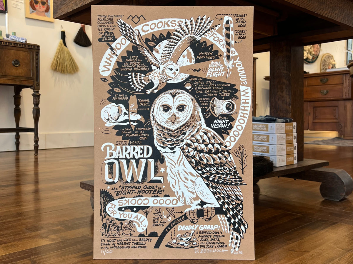 Barred Owl Poster