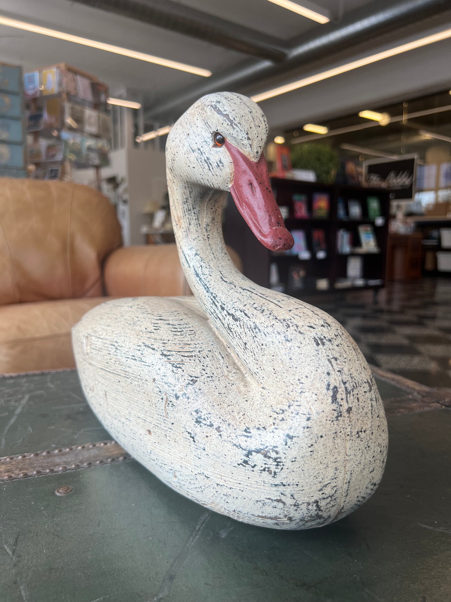 Duck