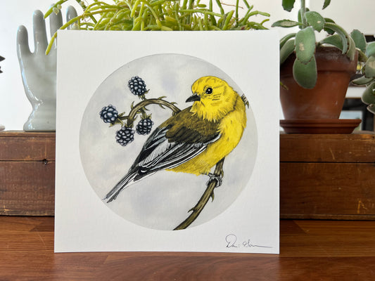 "Prothonotary Warbler" - Print