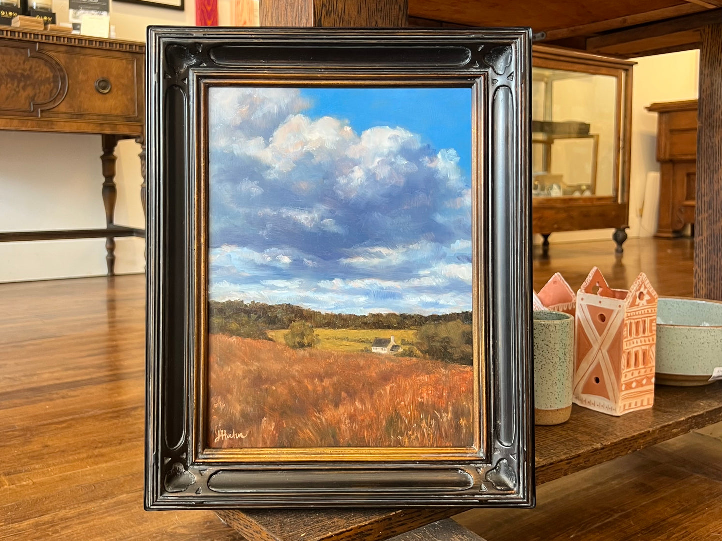"Grasslands" - Original Work