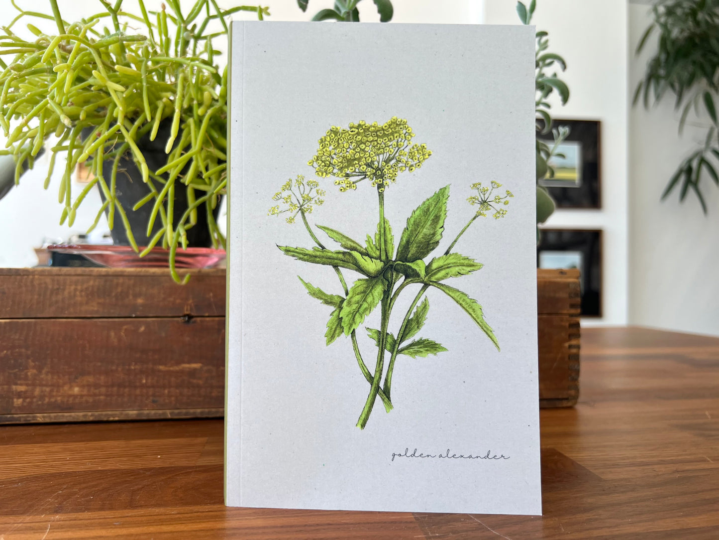 Lined Botanical Notebook