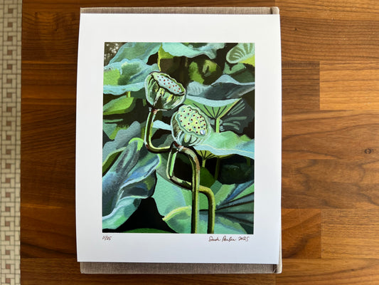 "Lotus Pods" - Print