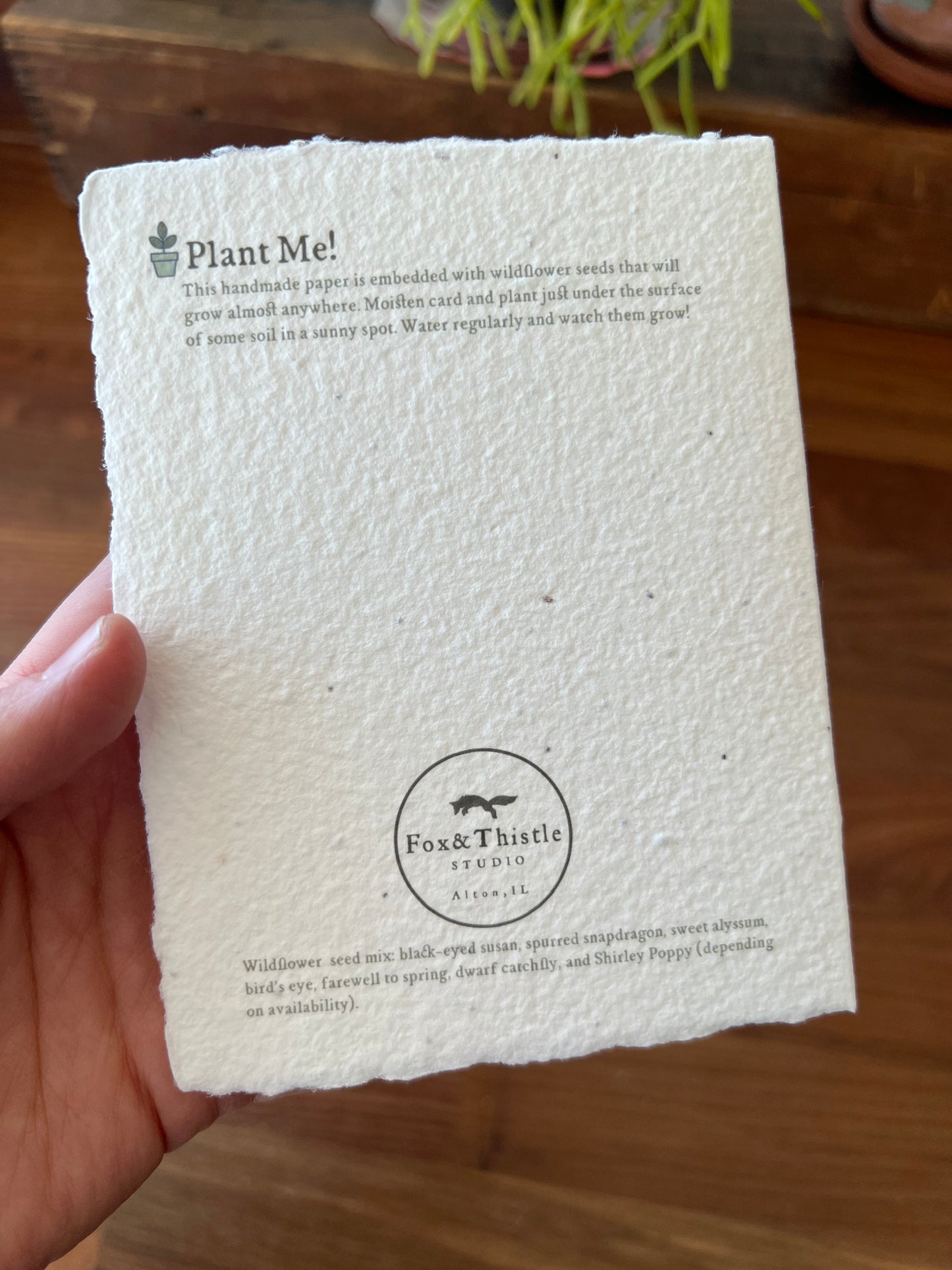 Plantable Purple Coneflower Card