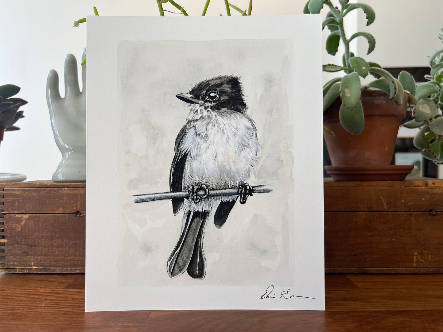 "Blue False Indigo (Baptista Australis)" - Print