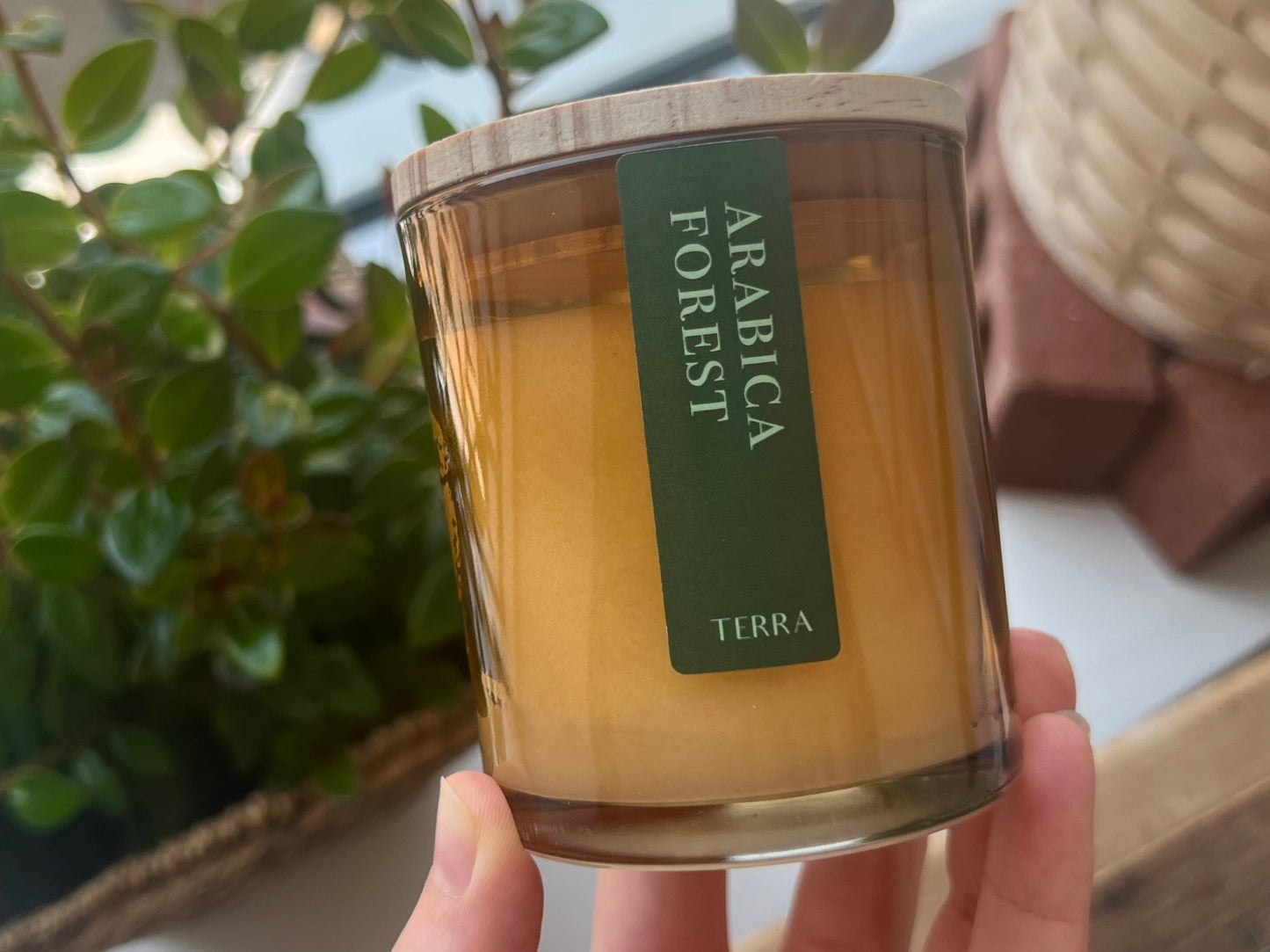 Arabica Forest Candle