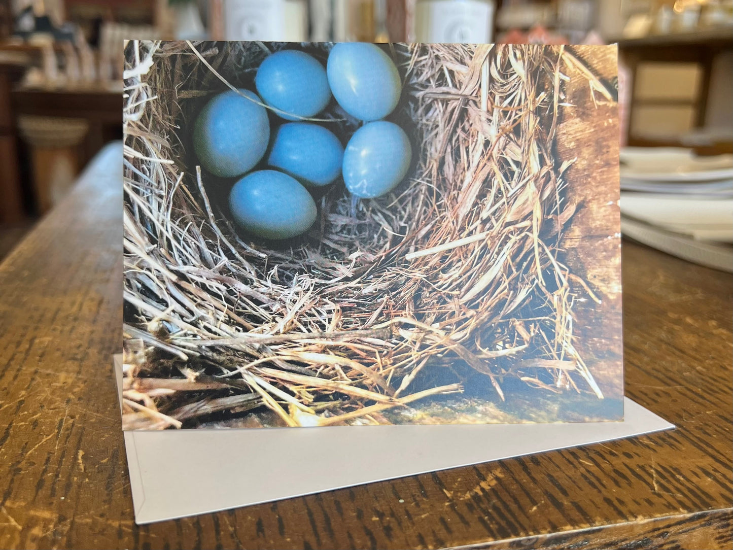 Nest and Eggs Greeting Card