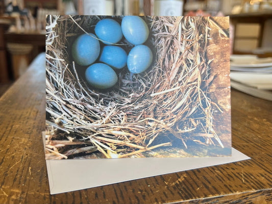 Nest and Eggs Greeting Card