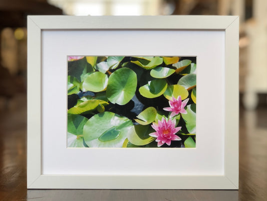 Water Lily Landscape Photograph
