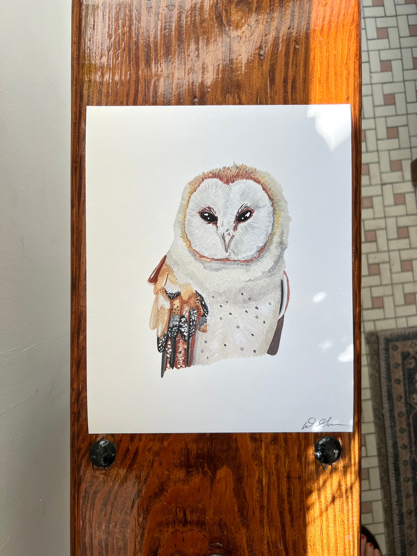 "Barn Owl" - Print
