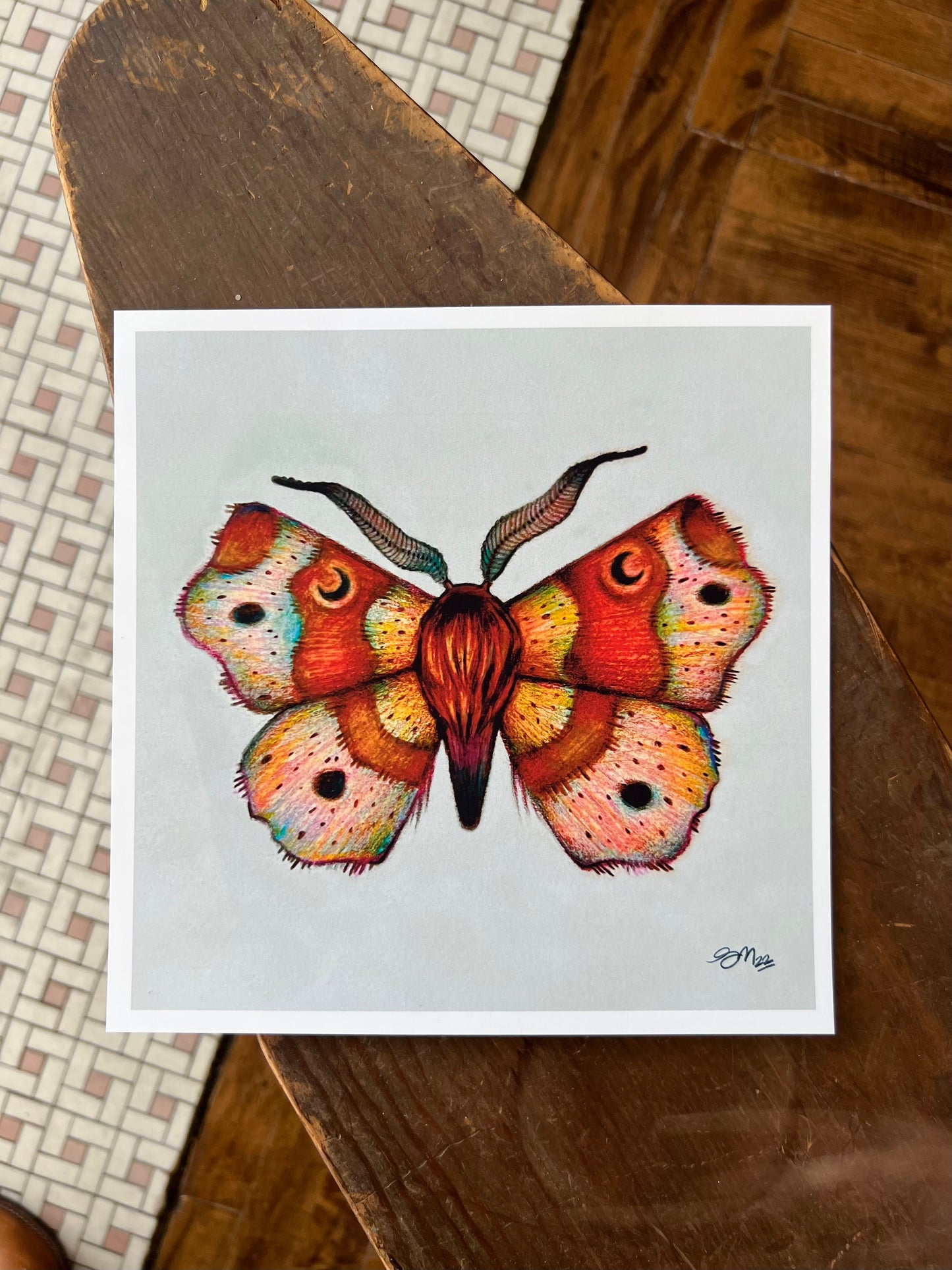 "Walnut Moon Moth" - Print