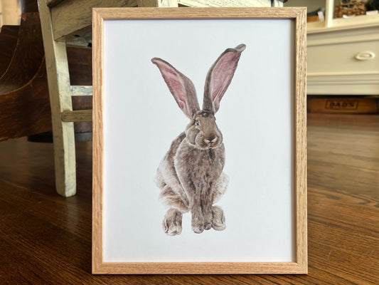 "Rabbit" - Print